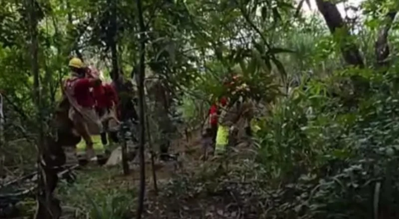 Corpo é encontrado em cova rasa em terreno na Av. Constantino Nery