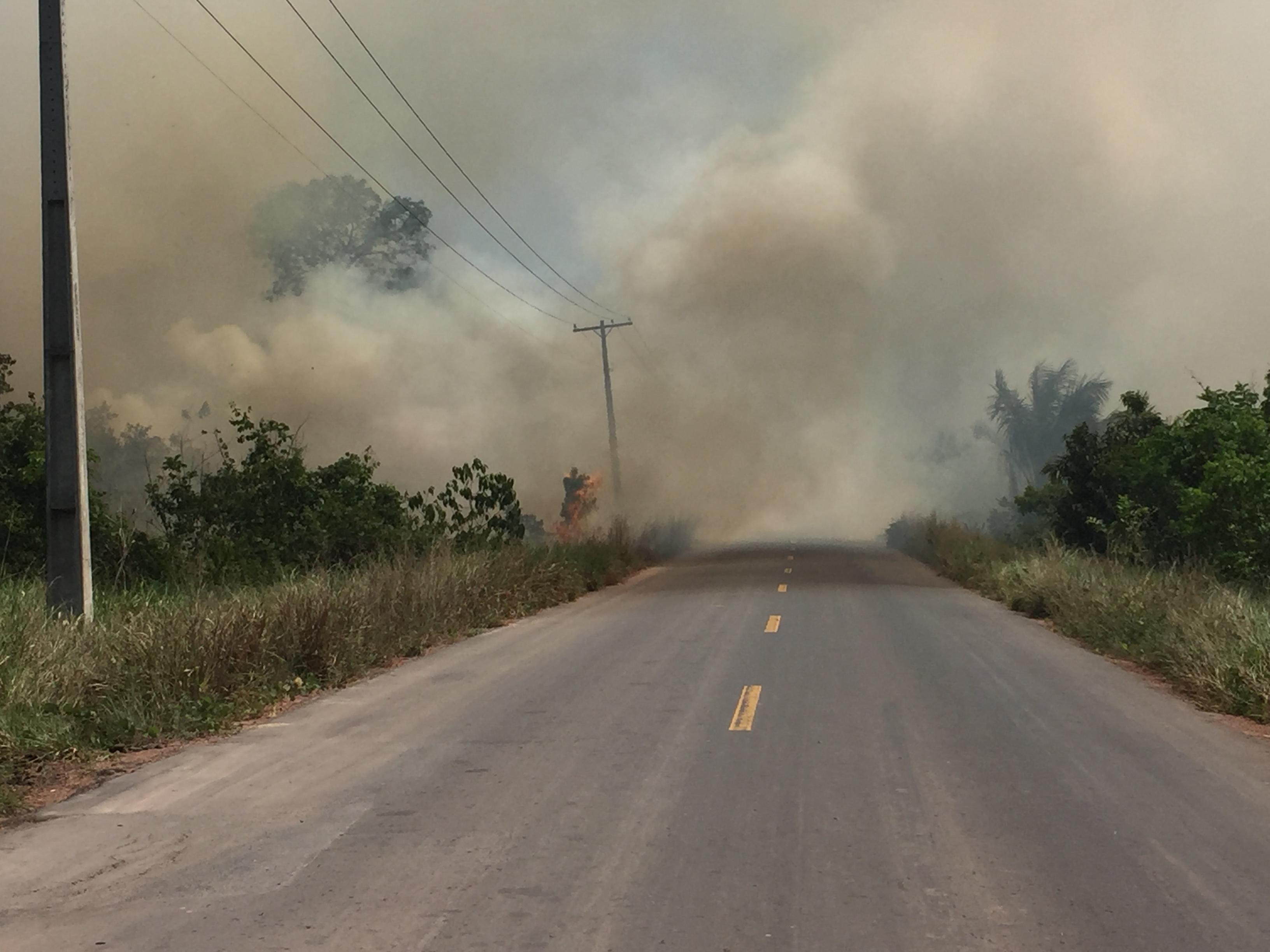 Queimadas neste período de estiagem podem causar danos à rede elétrica