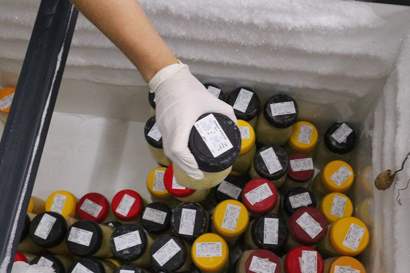 SES-AM lança campanha de doação de leite humano e homenageia mães doadoras