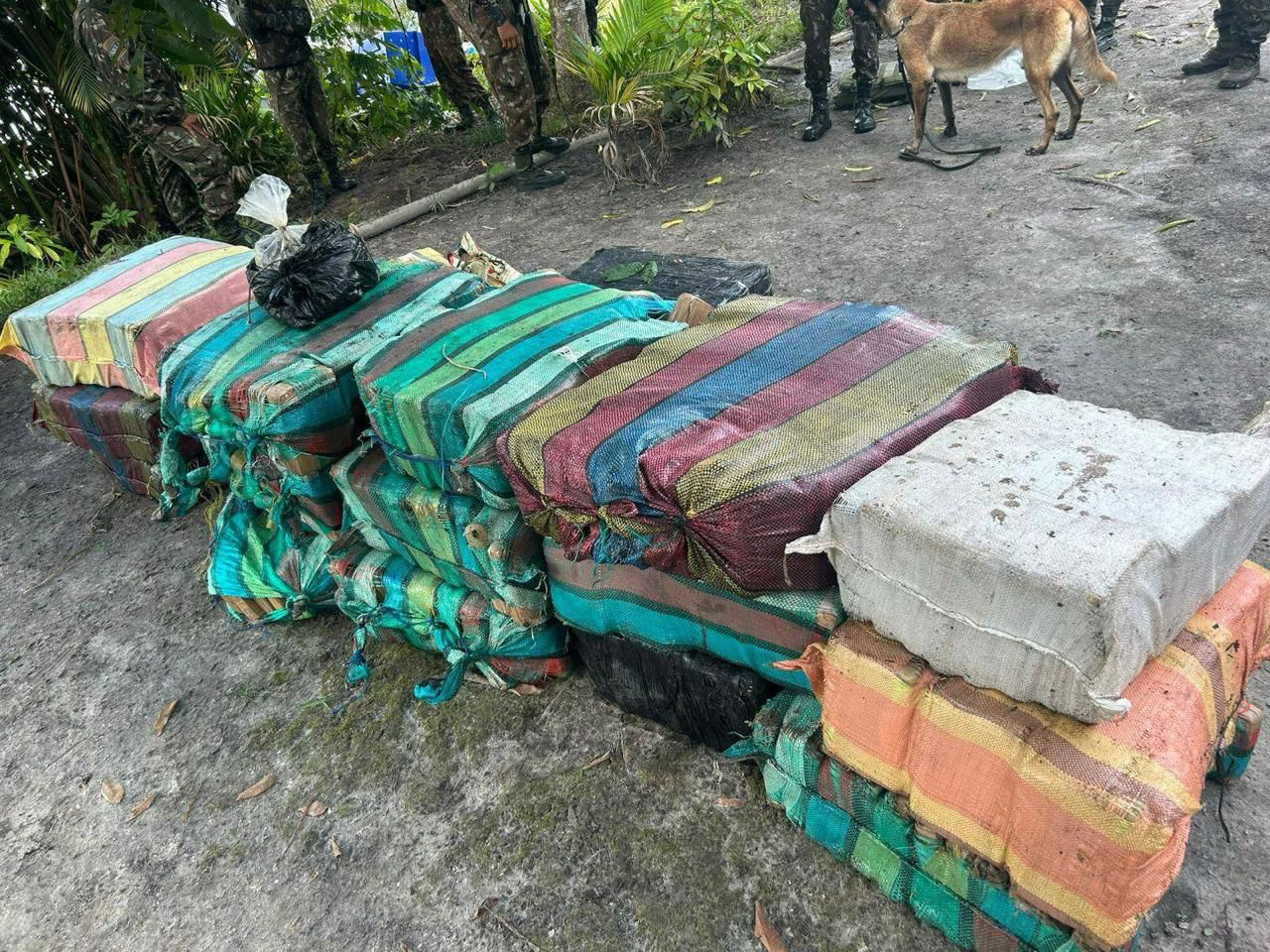 Operação Ágata apreende 868 kg de skunk em área de mata no interior do Amazonas