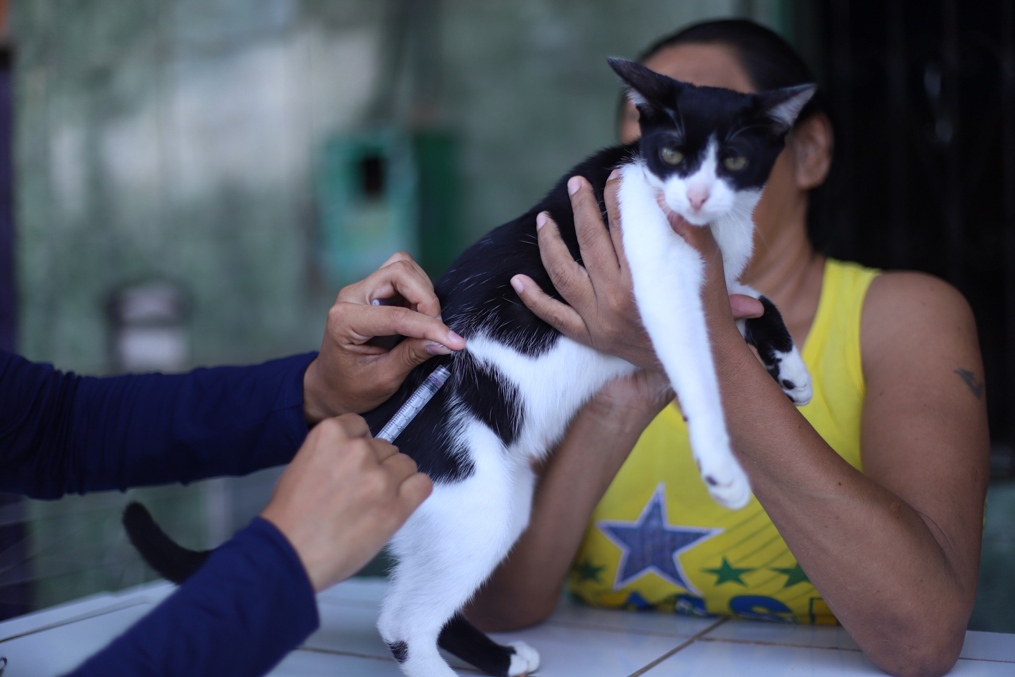 Vacinação antirrábica inicia em Manaus com meta de imunizar mais de 280 mil animais