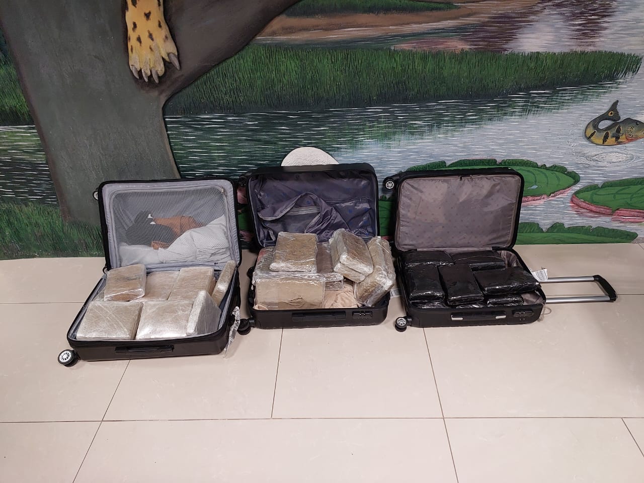 PF apreende cerca de 38 quilos de drogas em malas no aeroporto de Manaus