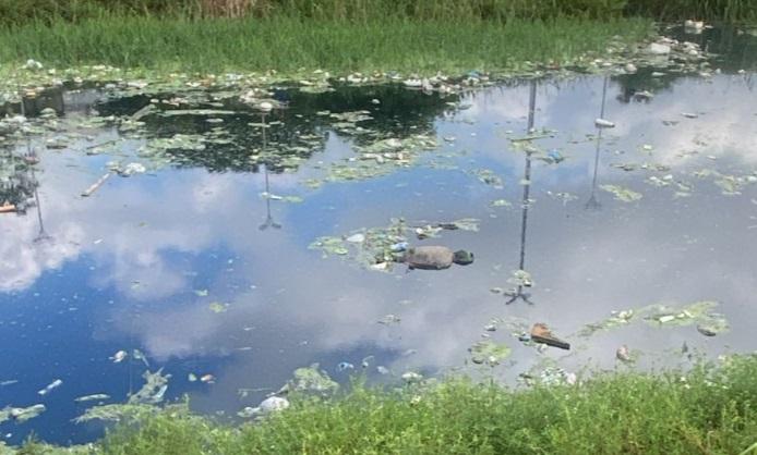 Corpo de homem é encontrado em igarapé no Centro de Manaus