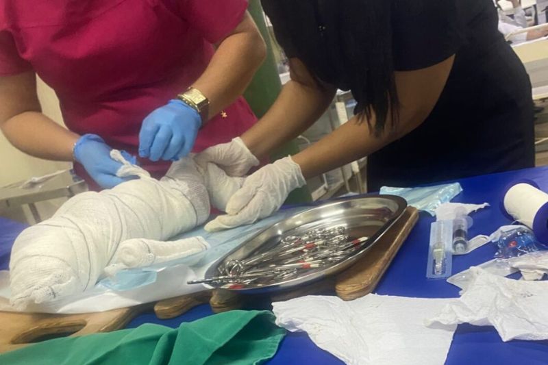 Bebê encontrada em lixão no AM morre no hospital após resgate