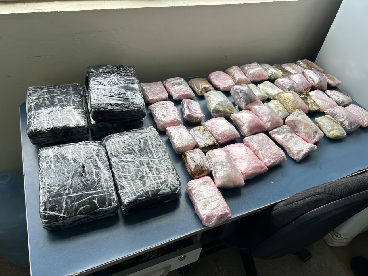 PF aprende 10 kg de skunk e haxixe em São Gabriel da Cachoeira