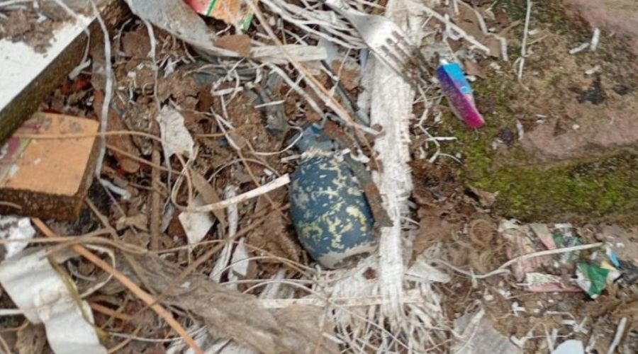 Criança de 11 anos encontra granada dentro de saco de lixo no bairro Petrópolis