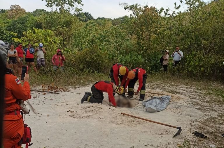 Corpo é encontrado enterrado em cova rasa em campo de futebol