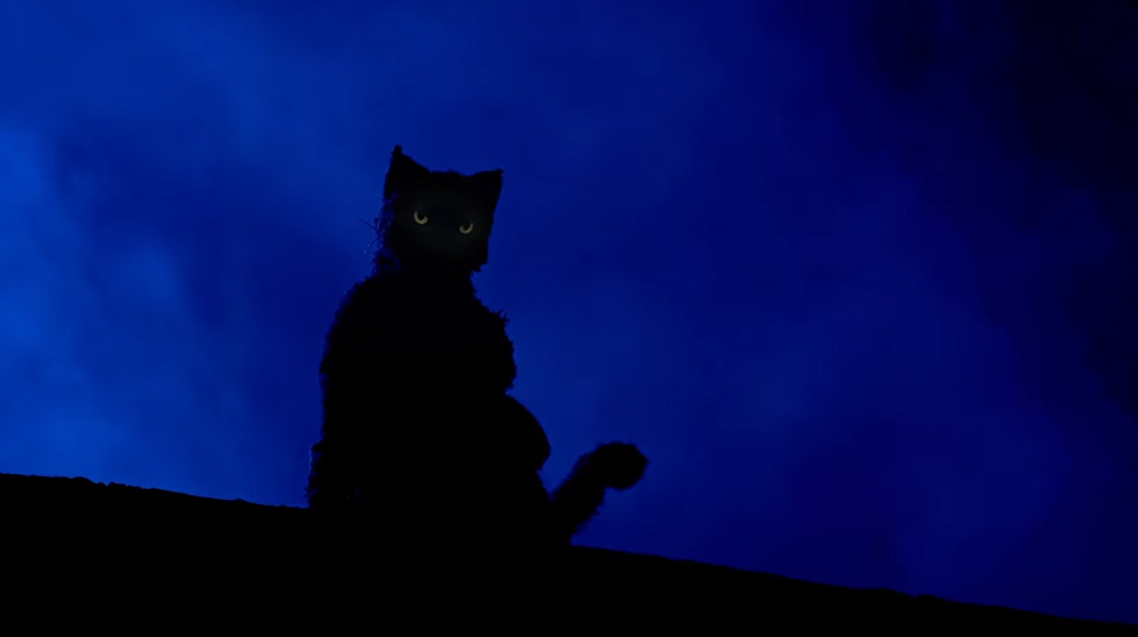 “Mata Gato” encerra outubro com exibição especial de Halloween no Casarão de Ideias