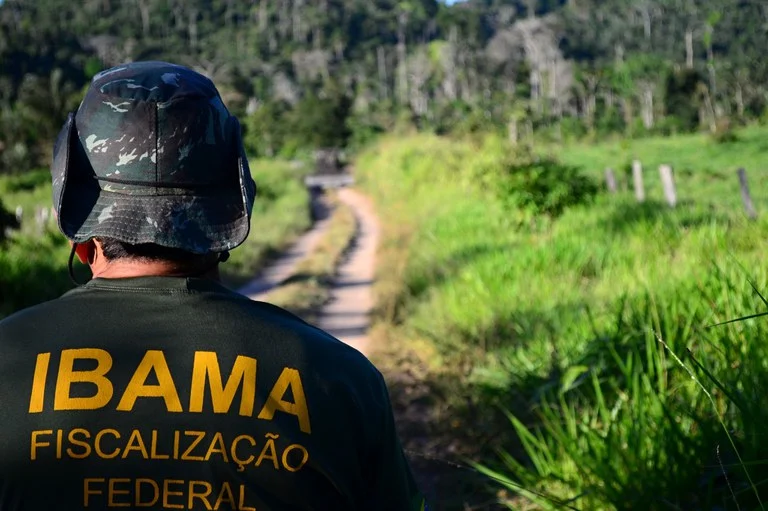 Ibama lança concurso público com 460 vagas; 83 são para o Amazonas com salário de até R$ 9,9 mil