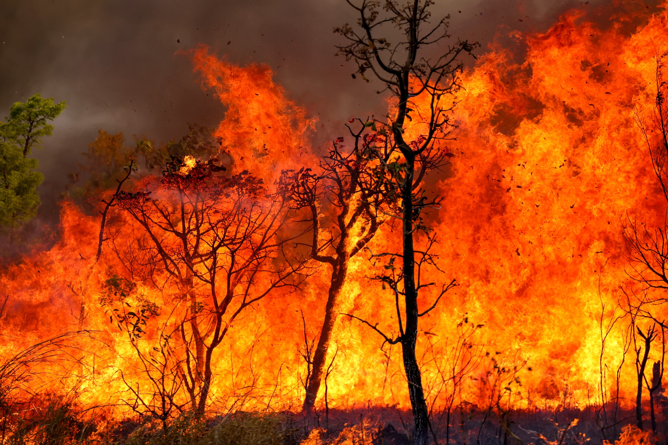 MP aciona Justiça por aquisição de equipamentos de combate a incêndios em Juruá