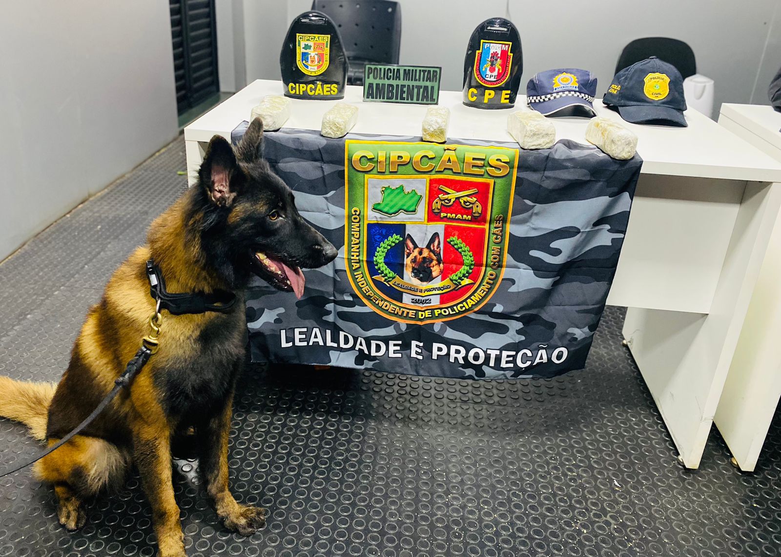 Maconha é apreendida  camuflada em meio à goma e farinha de mandioca