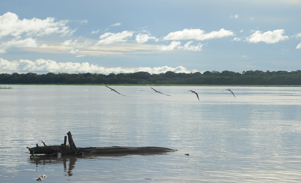 MPAM fiscaliza ações preventivas para o período de cheia em Anamã