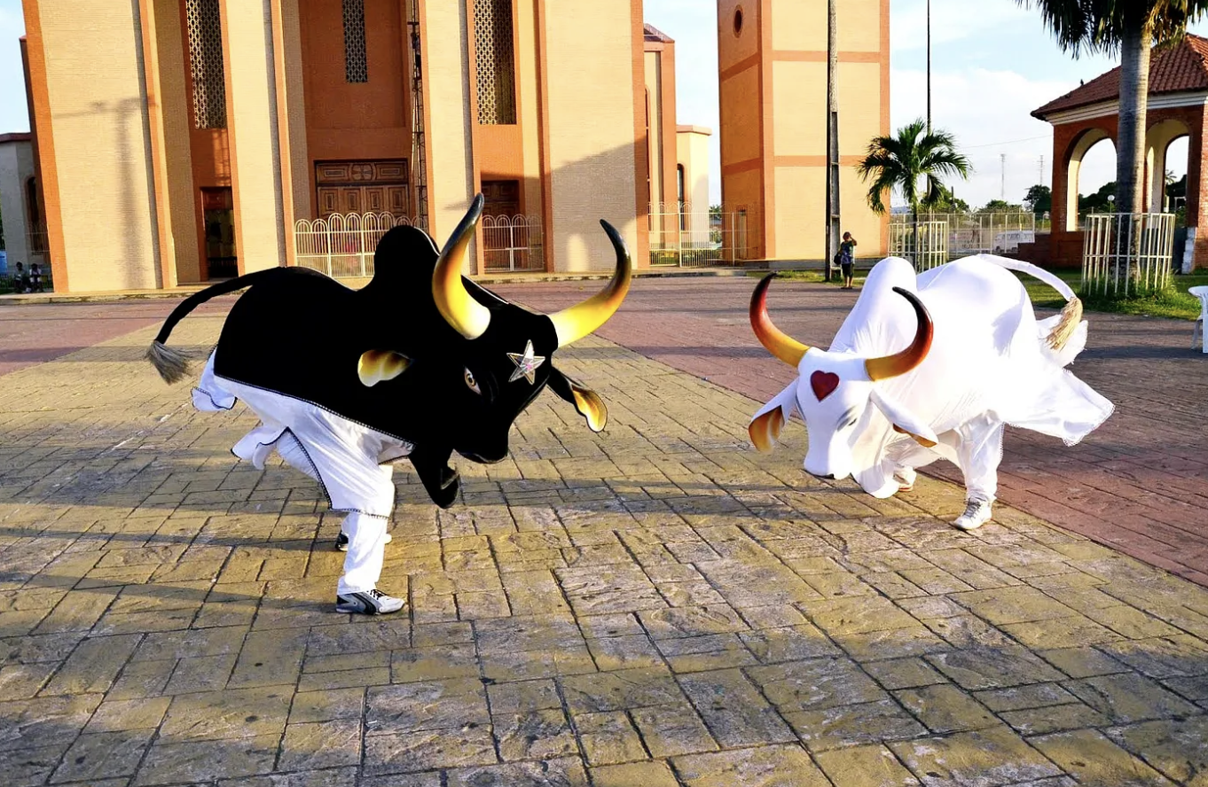 Festival de Parintins: Torcedores explicam como é ser escolhido por Caprichoso e Garantido