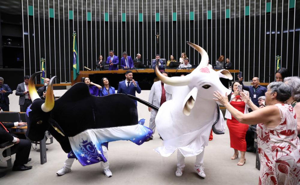 Câmara dos Deputados homenageia Caprichoso e Garantido em sessão especial