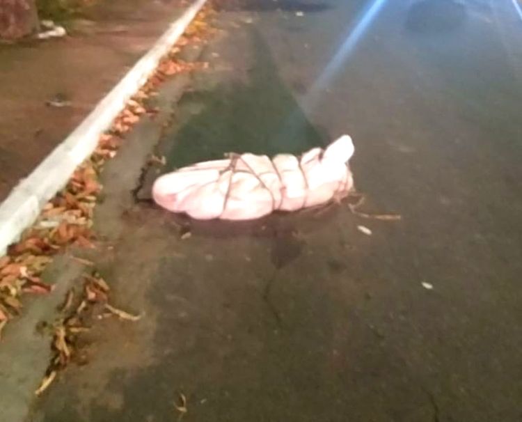 Corpo de homem é encontrado dentro de saco plástico na Cachoeirinha