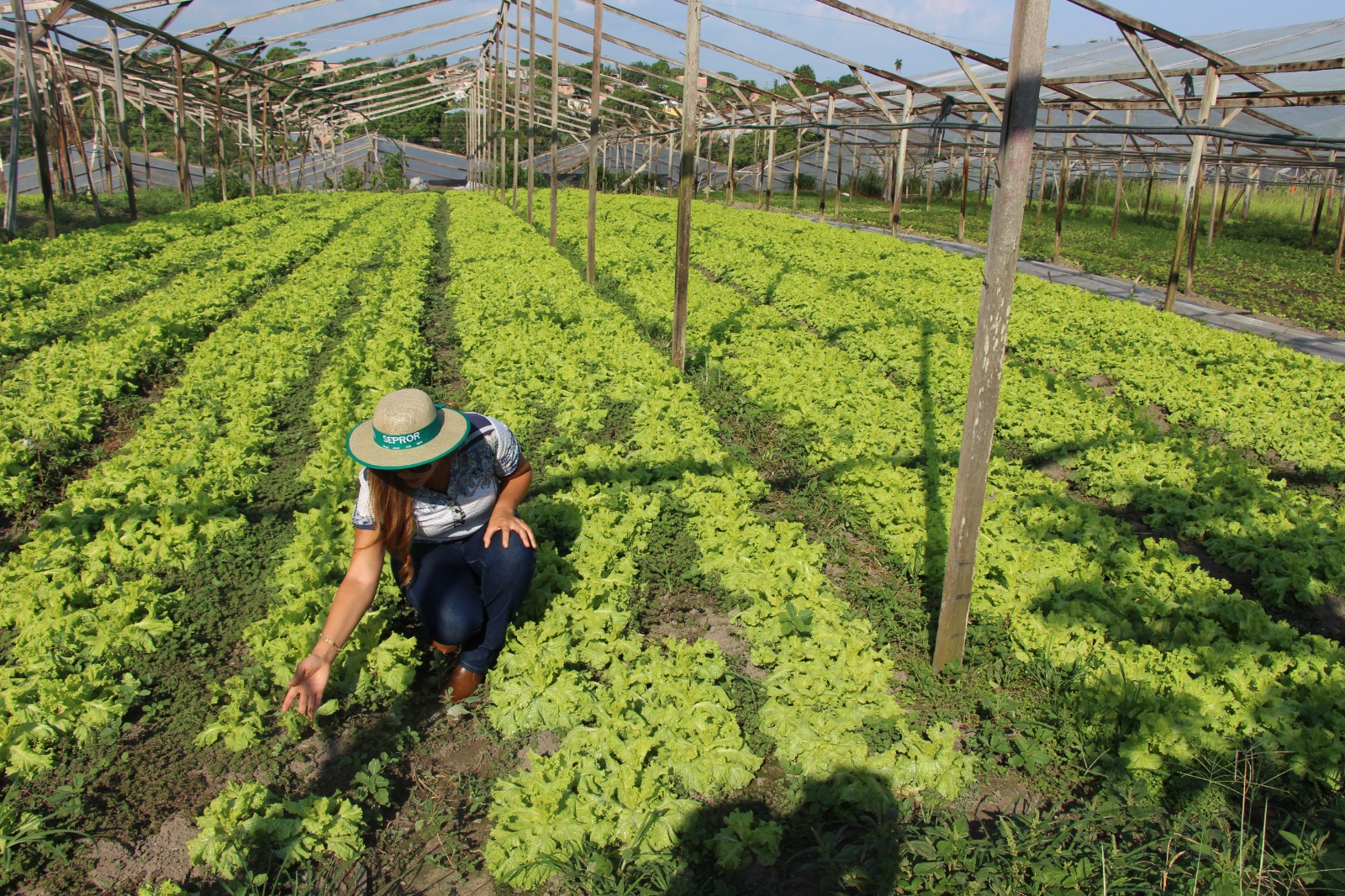 Governo do AM cria gabinete do setor primário para diminuir impactos da estiagem