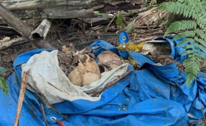 Ossada humana é encontrada em sacola plástica na AM-010