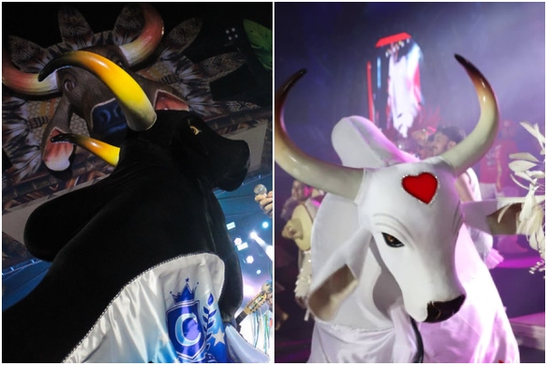 Ensaio dos Bumbás: Temporada inicia no Sambódromo com noite marcada por tradição