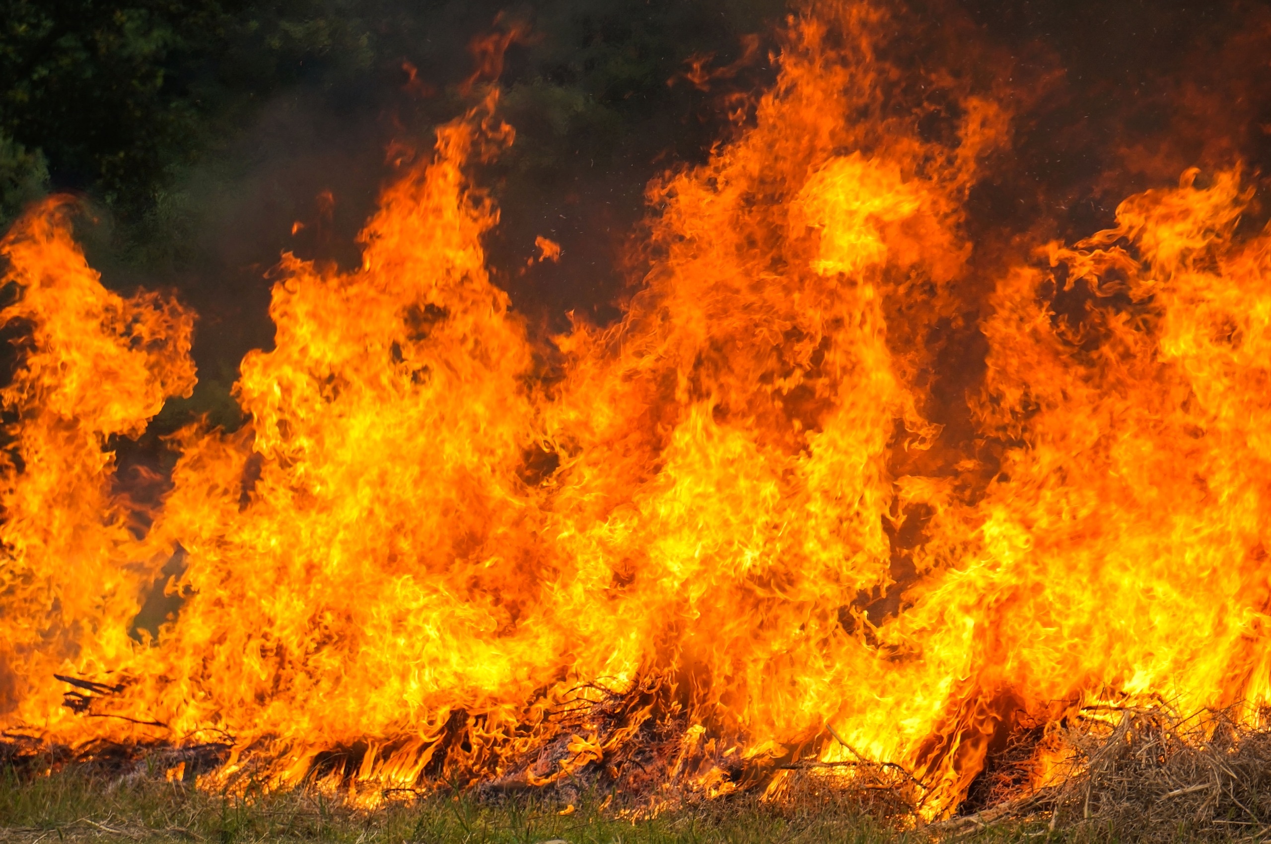 Em Borba, MP recomenda medidas protetivas contra incêndios florestais e queimadas