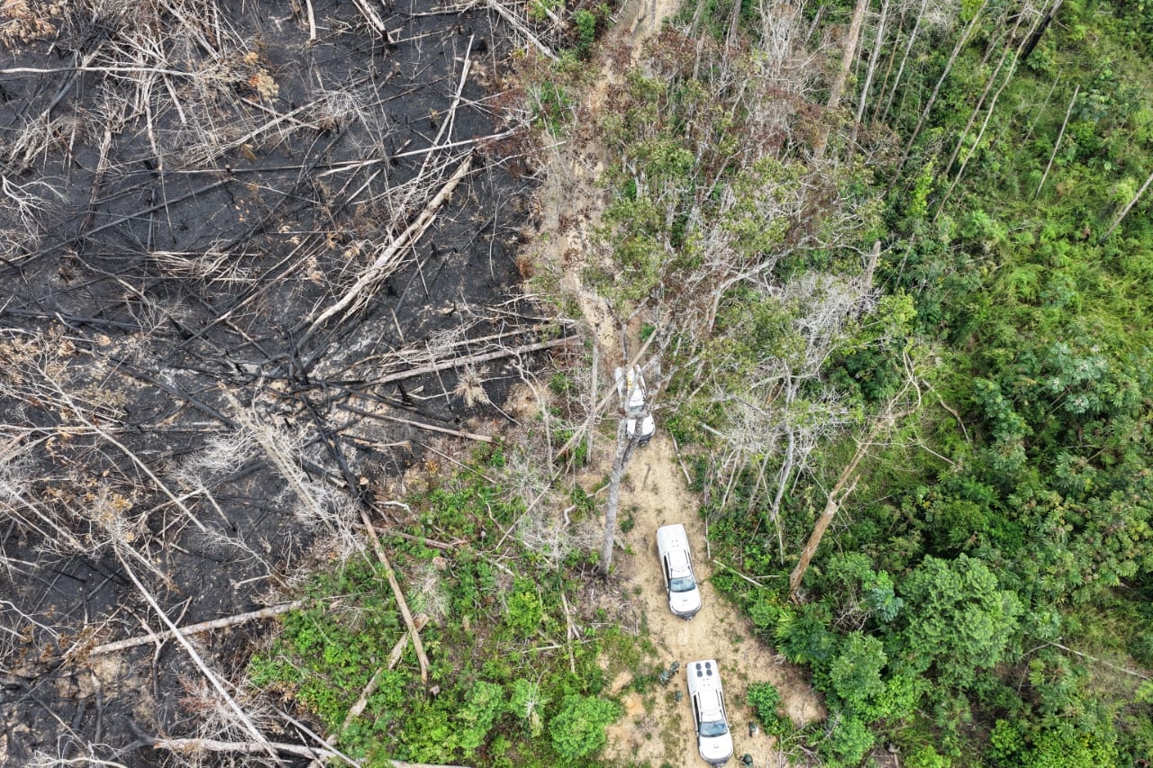 Operação Tamoiotatá 2025 aplicou R$ 144,7 milhões em multas por crimes ambientais no sul do AM