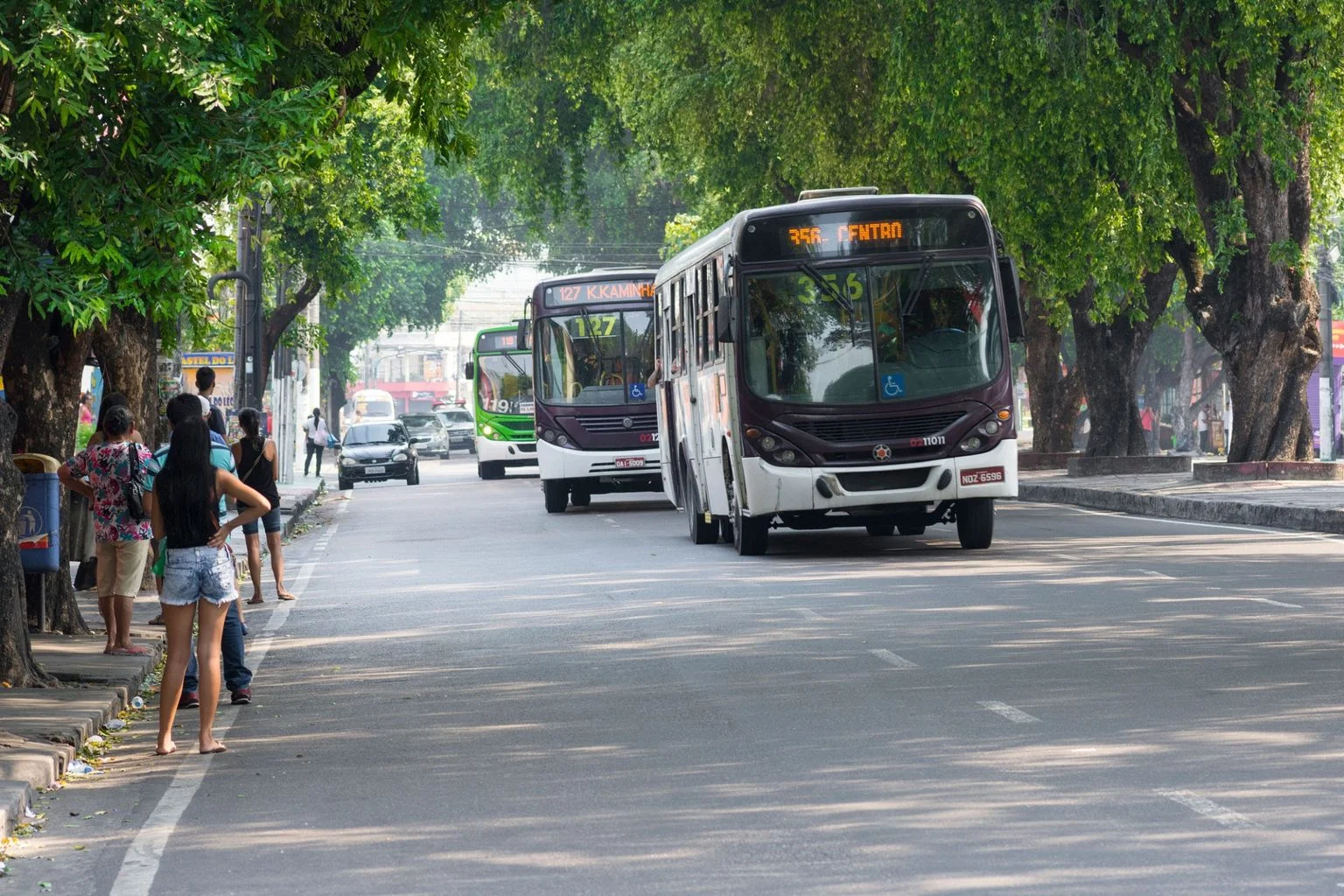 Eleições 2026: ônibus serão gratuitos das 4h às 18h em Manaus