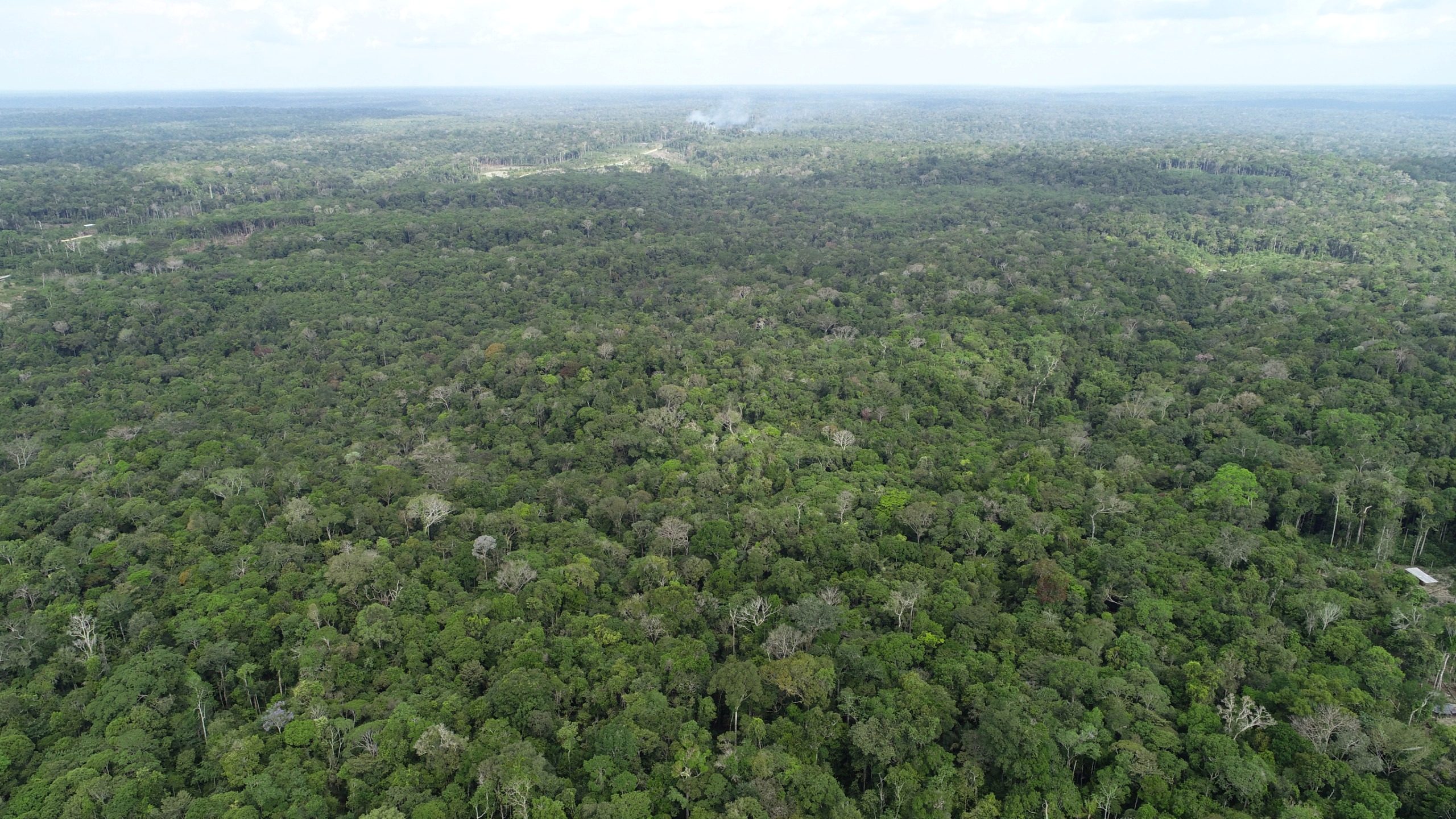 Ipaam registra redução de 21,09% no desmatamento no Amazonas em maio