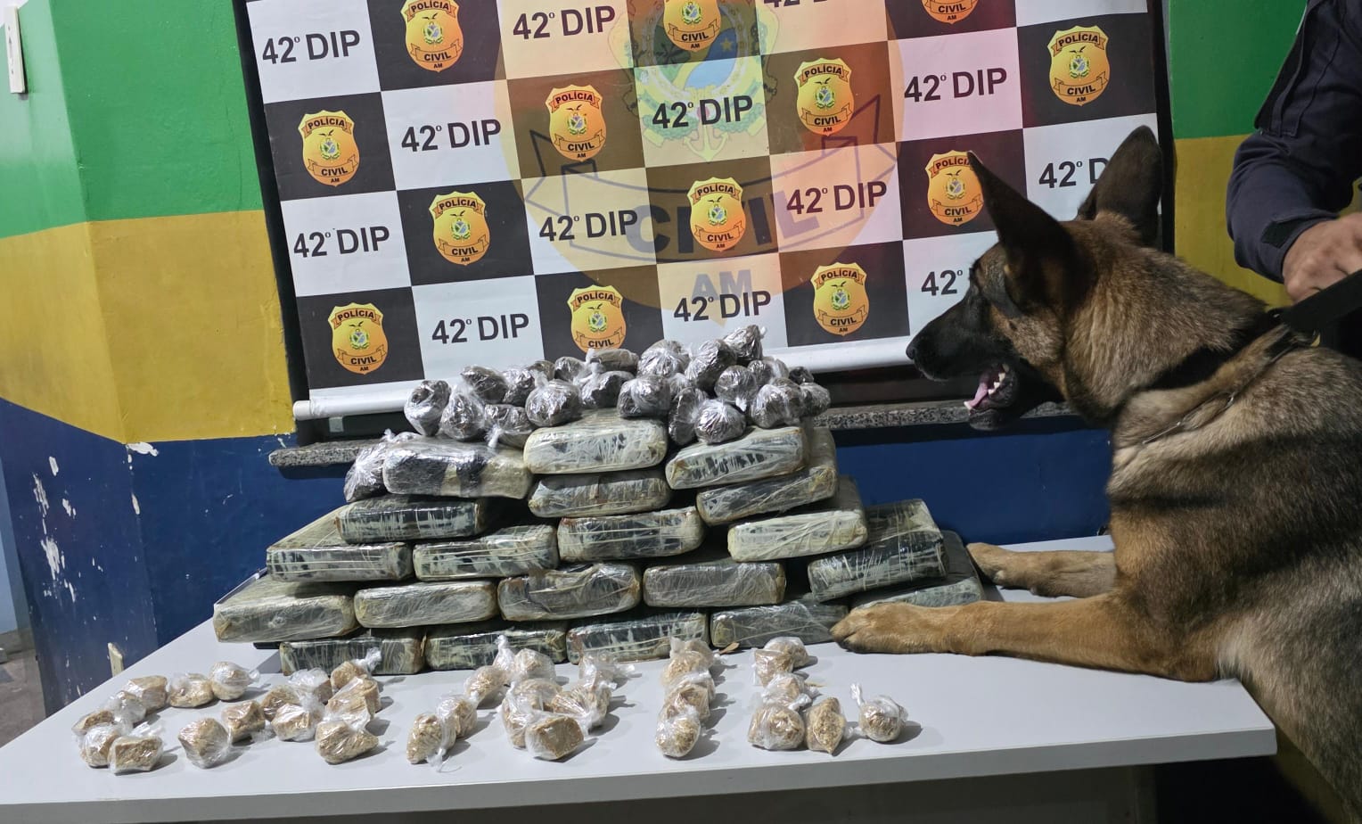 Homem é preso com 20 tabletes e porções de drogas no porto de Barreirinha