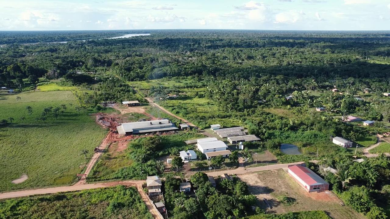 Idesam lança plataforma para impulsionar bioeconomia no Interflúvio Madeira–Purus