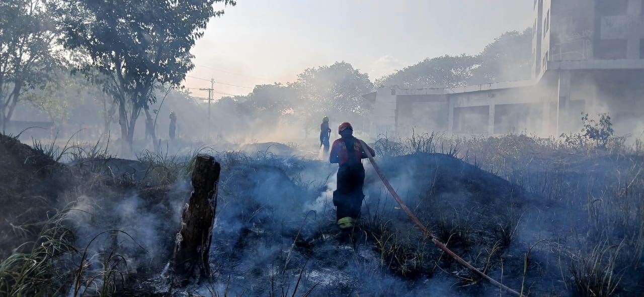 Em 24 horas, Bombeiros combatem 18 incêndios em áreas de vegetação em Manaus