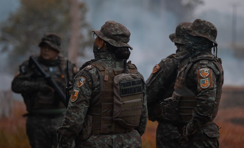 Mais de 80 pessoas foram detidas em ações contra crimes ambientais