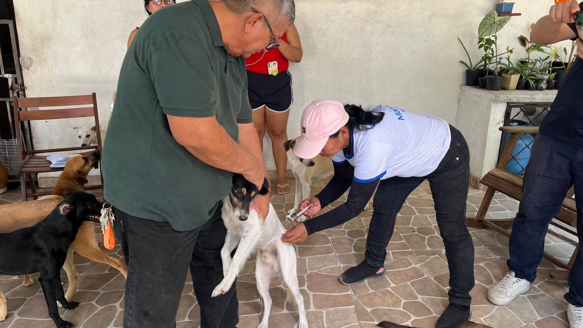 Vacinadores seguem com imunização de cães e gatos contra raiva nos bairros em Manaus