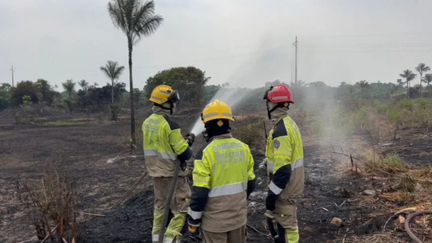 Incêndio destrói área equivalente a 50 campos de futebol em Iranduba
