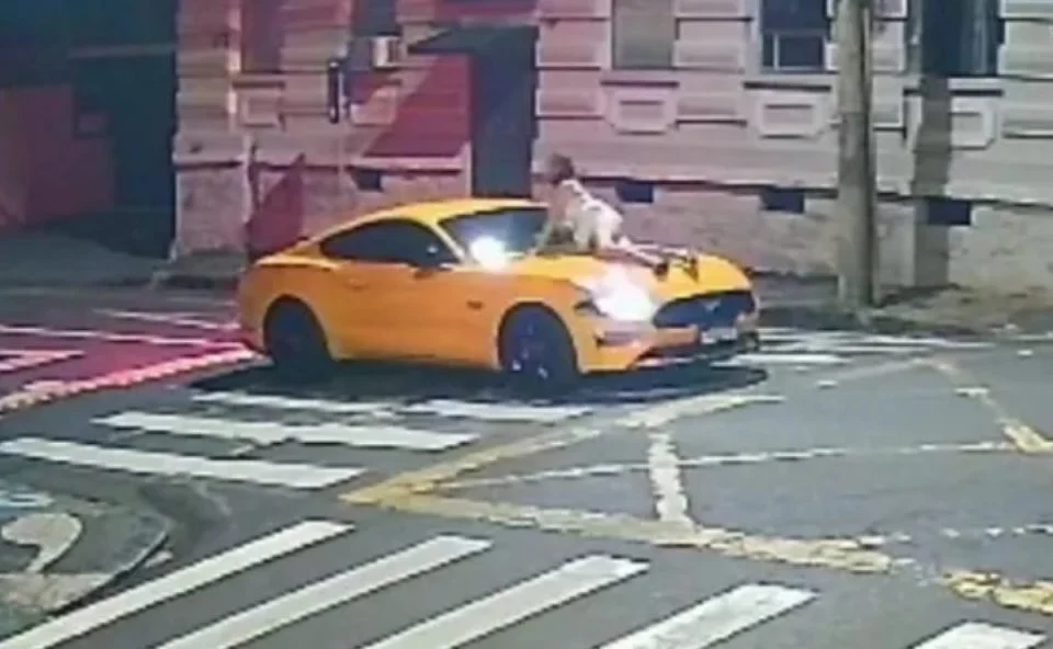 Vídeo: motorista de Mustang atropela e arrasta a ex-mulher em capô de carro no PR