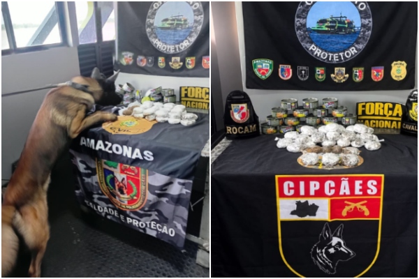 Cão policial encontra haxixe escondido em latas de atum em barco no AM