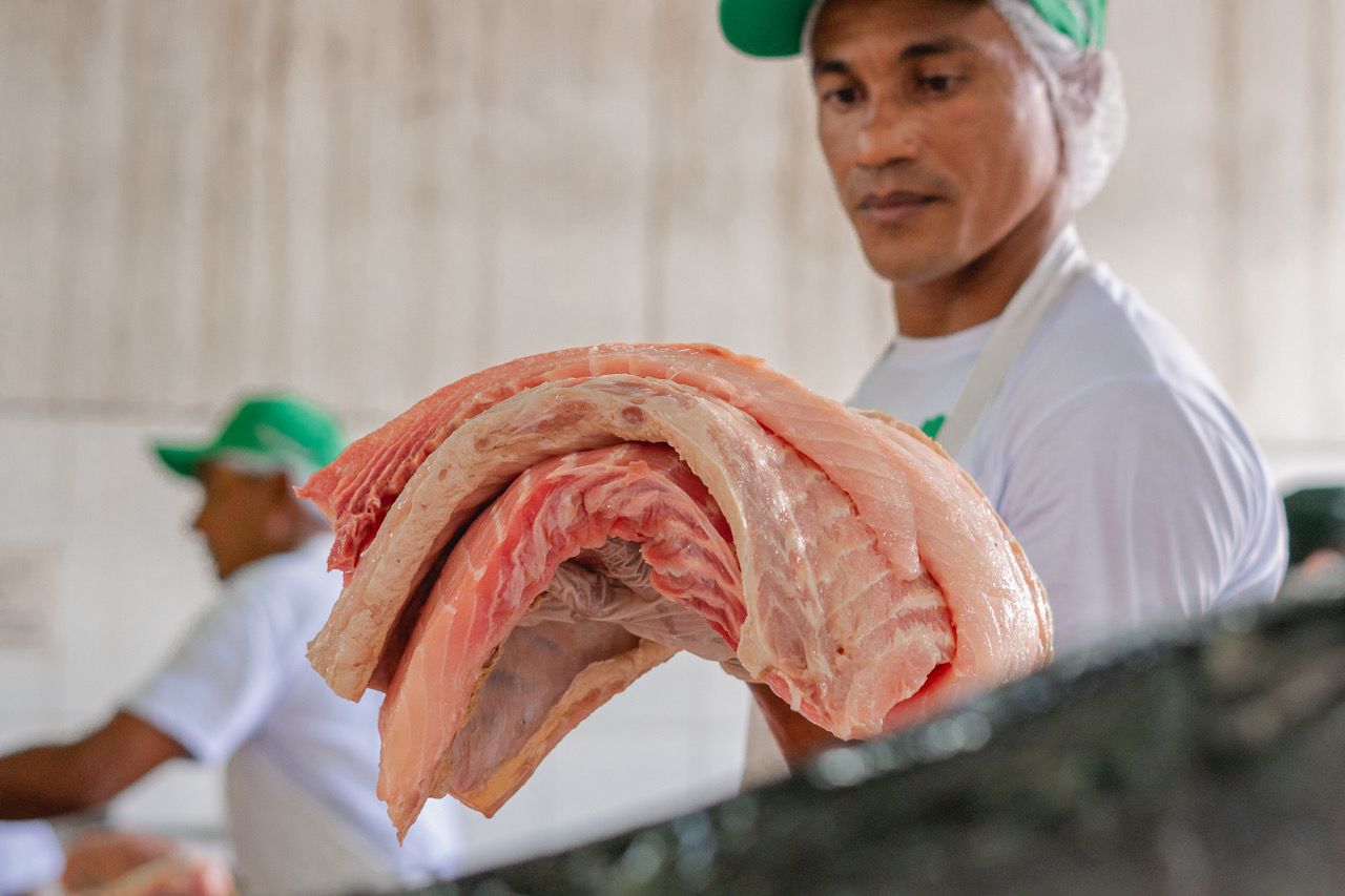 Feira do Pirarucu retorna com a venda de pescado a partir de R$ 6 o quilo, em Manaus