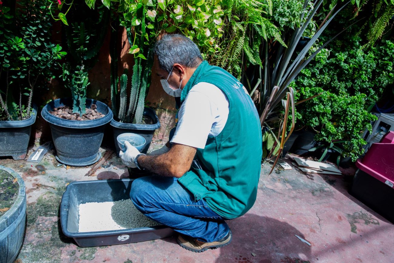 Manaus tem médio risco para doenças transmitidas pelo Aedes aegypti e 19 bairros em alta vulnerabilidade
