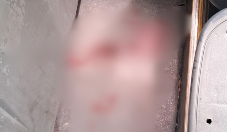 Três pessoas são esfaqueadas durante assalto a ônibus da linha 560