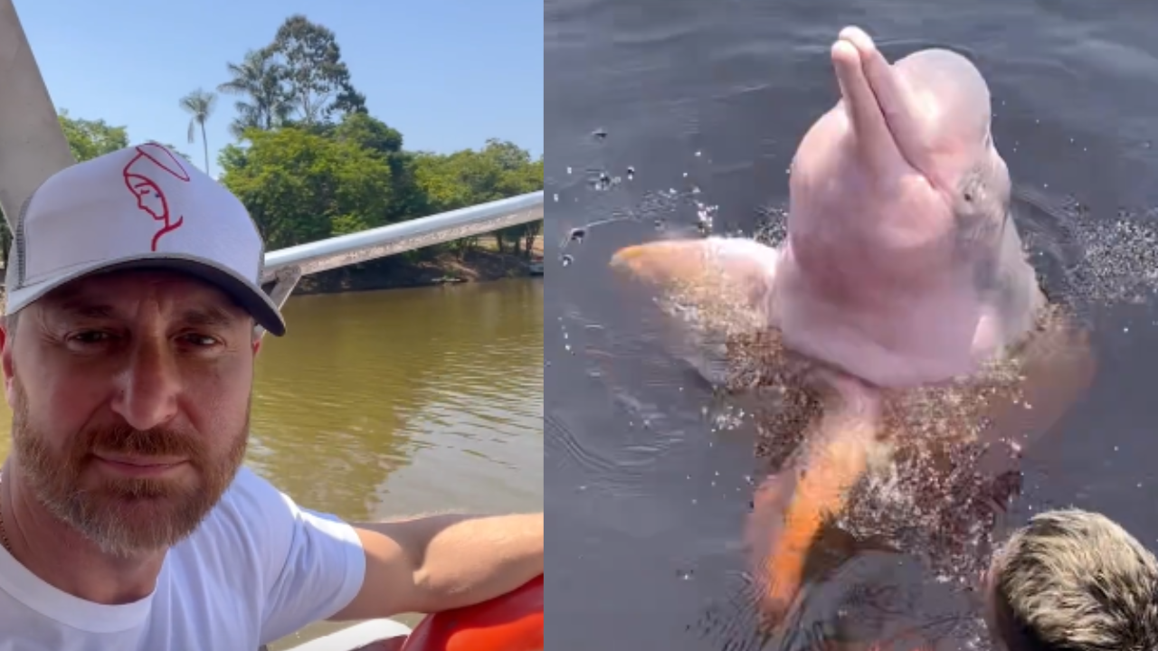 David Guetta em Manaus