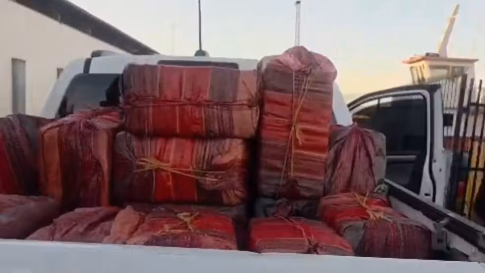 Polícia aprende 700 kg de skunk na comunidade do Tupé
