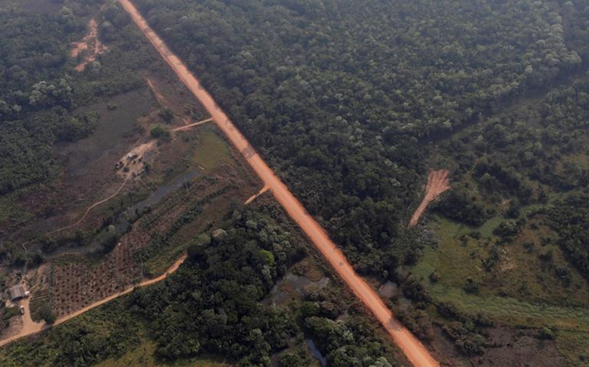 TCU aponta pavimentação do Lote 1C da BR-319 como obra prioritária