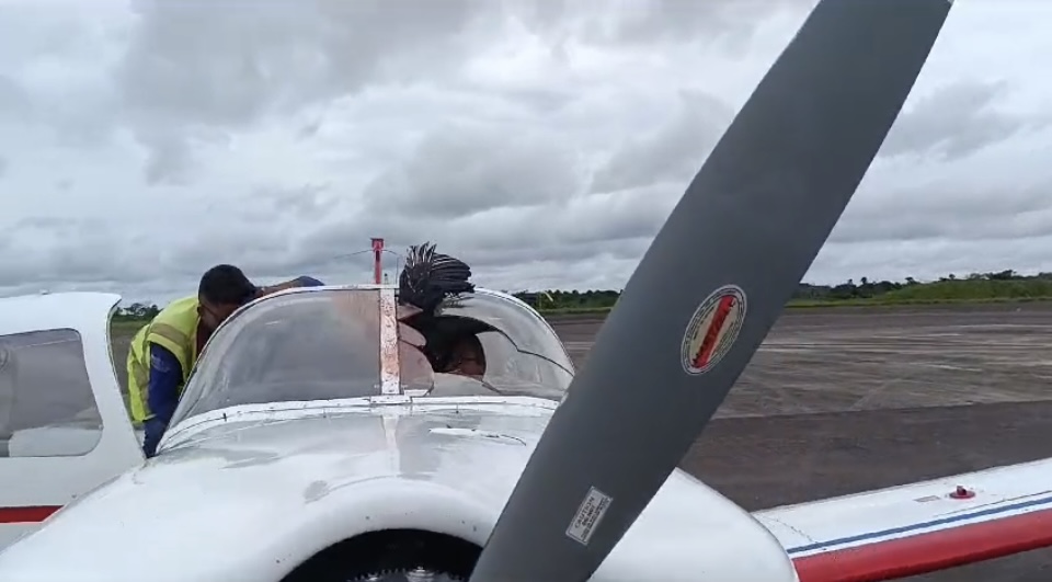 Vídeo: urubu colide com avião durante pouso no AM