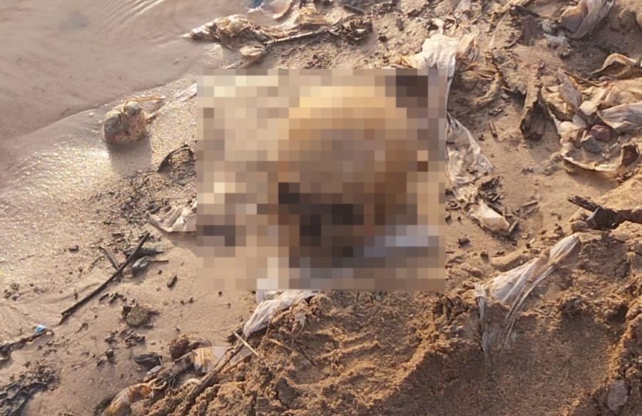 Crânio humano é encontrado durante obras na Manaus Moderna