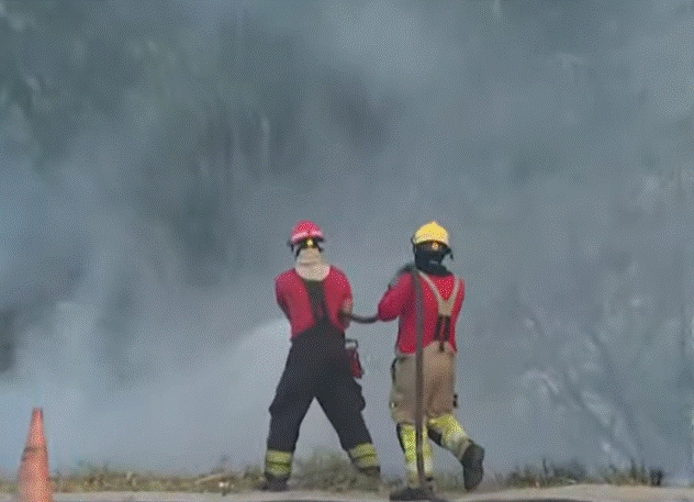 Incêndio atinge área de mata no bairro Coroado