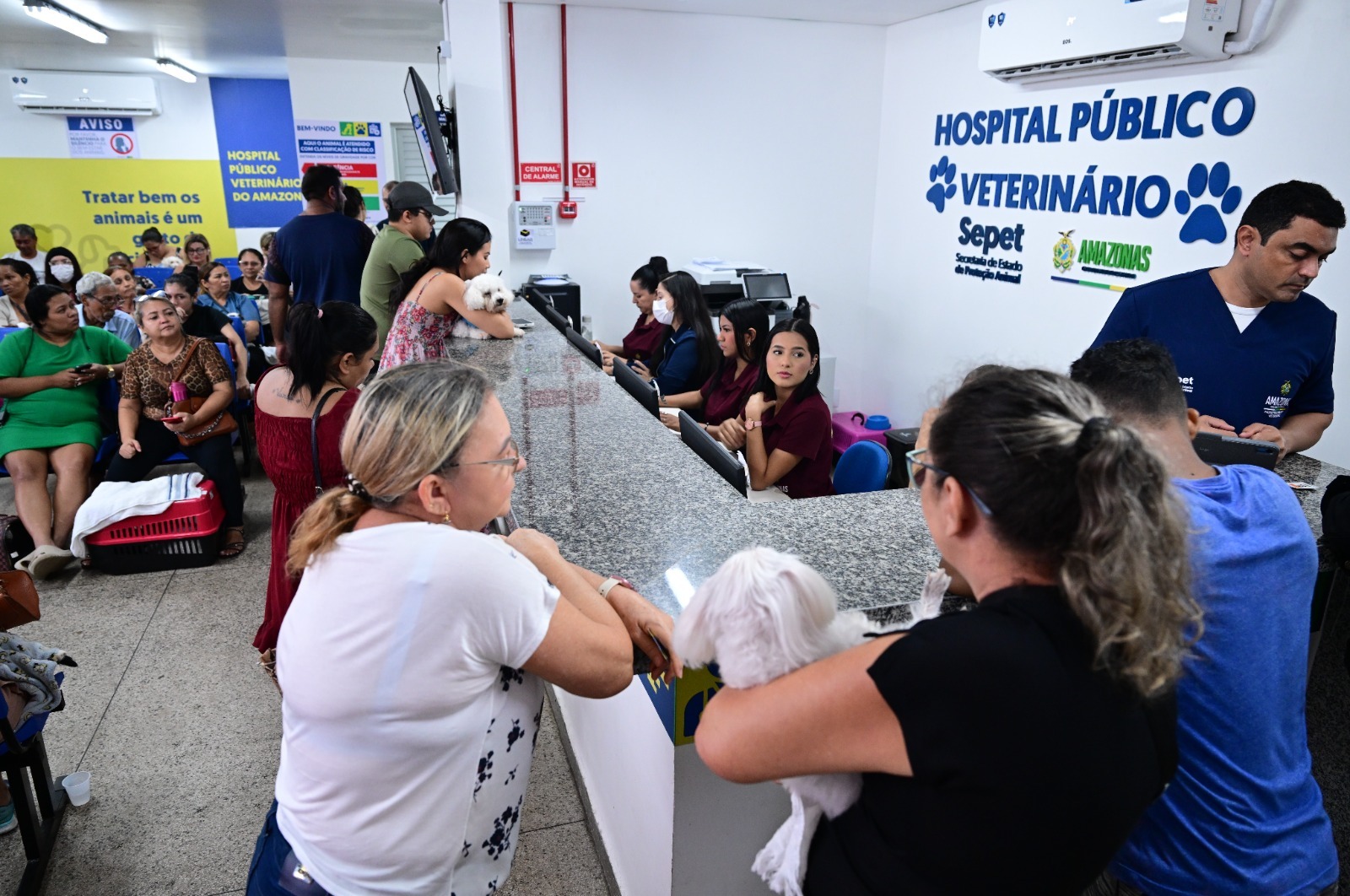 Hospital Público Veterinário atendeu 26 mil animais em 5 meses de funcionamento