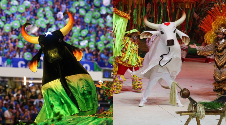 Festival de Parintins: Caprichoso denuncia suposto descumprimento do regulamento pelo Garantido