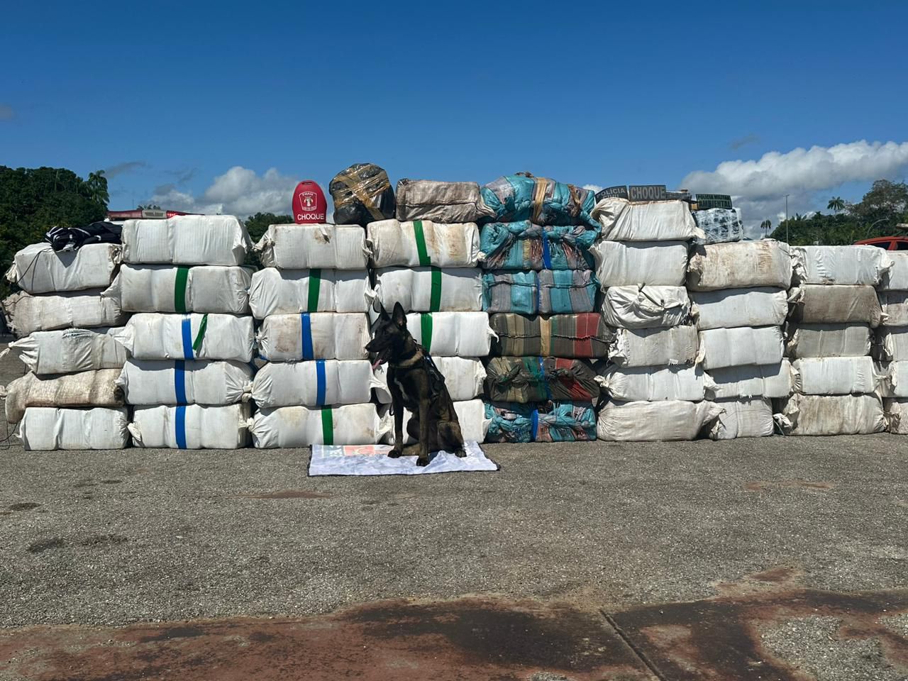 Forças de Segurança apreendem 1,5 tonelada de drogas