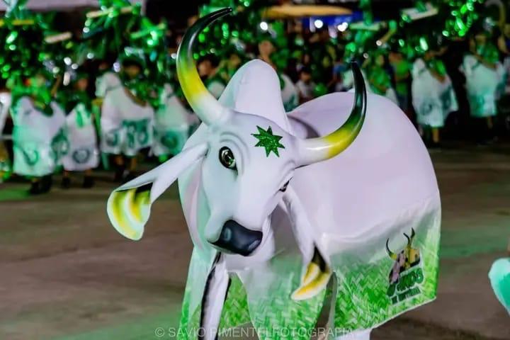 Em Parintins, revistas em quadrinhos resgatam história do Boi Mirim Estrelinha