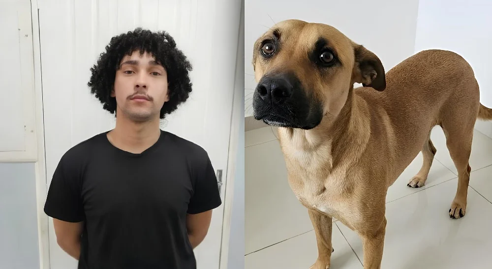 Influencer é preso em Manaus suspeito de zoofilia contra cadela