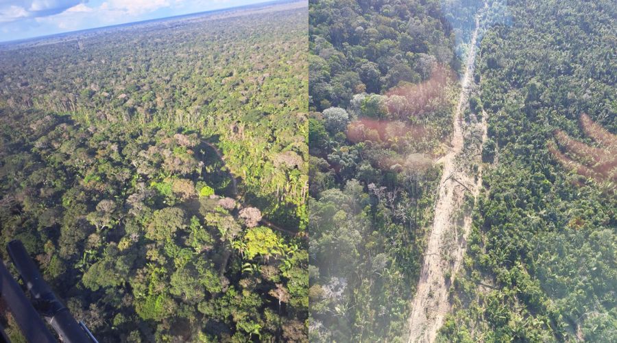 Operação do Ibama combate desmatamento e abertura de ramais na BR-319