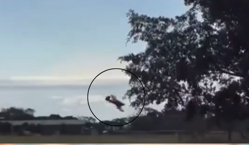 Vídeo mostra queda de avião que matou empresário amazonense em SP